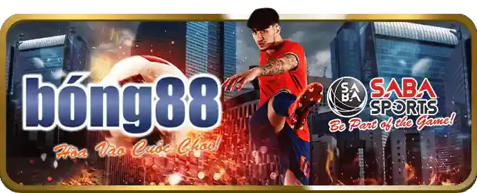 Cá cược Thể Thao VND288